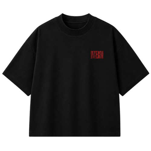 THE INTERIM STATE. TEE